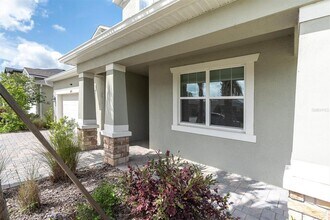 6353 Timberdale Ave in Wesley Chapel, FL - Building Photo - Building Photo