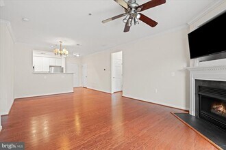 5120 Donovan Dr in Alexandria, VA - Building Photo - Building Photo