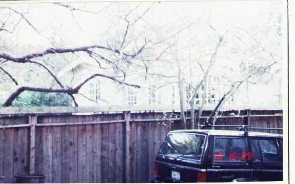 16 Parkwood St in Mill Valley, CA - Foto de edificio - Building Photo