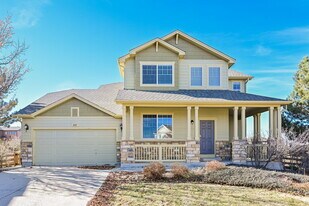 2487 Paint Pony Ct in Castle Rock, CO - Building Photo