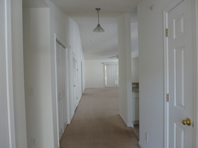 4846 Meadowsweet Dr in Myrtle Beach, SC - Building Photo - Building Photo