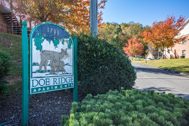 Doe Ridge Apartments in Johnson City, TN - Building Photo - Building Photo