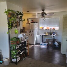 1800 Pecan St-Unit -Unit 1 in Fort Collins, CO - Building Photo - Building Photo