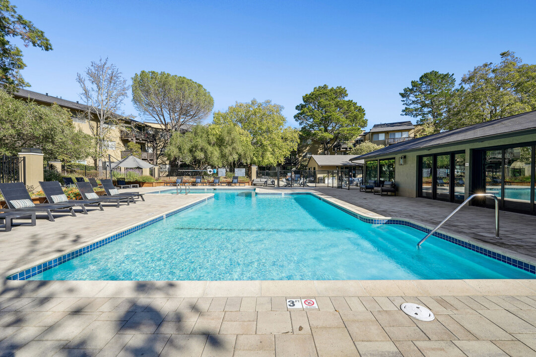 Skylark Apartments in Larkspur, CA - Foto de edificio