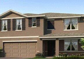 16505 Windmill Forge Pass in Wimauma, FL - Building Photo