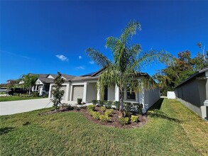 165 Rain Berry Ave in Ruskin, FL - Foto de edificio - Building Photo