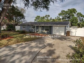 9805 N 53rd St in Tampa, FL - Building Photo