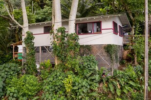 3561 Pinao St in Honolulu, HI - Building Photo