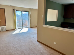 2230 Abbeywood Dr in Lisle, IL - Building Photo - Building Photo