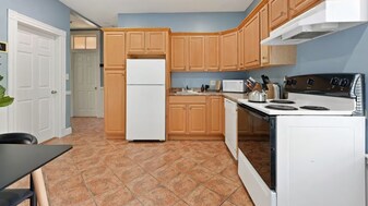 101 1/2 Calumet St in Boston, MA - Building Photo