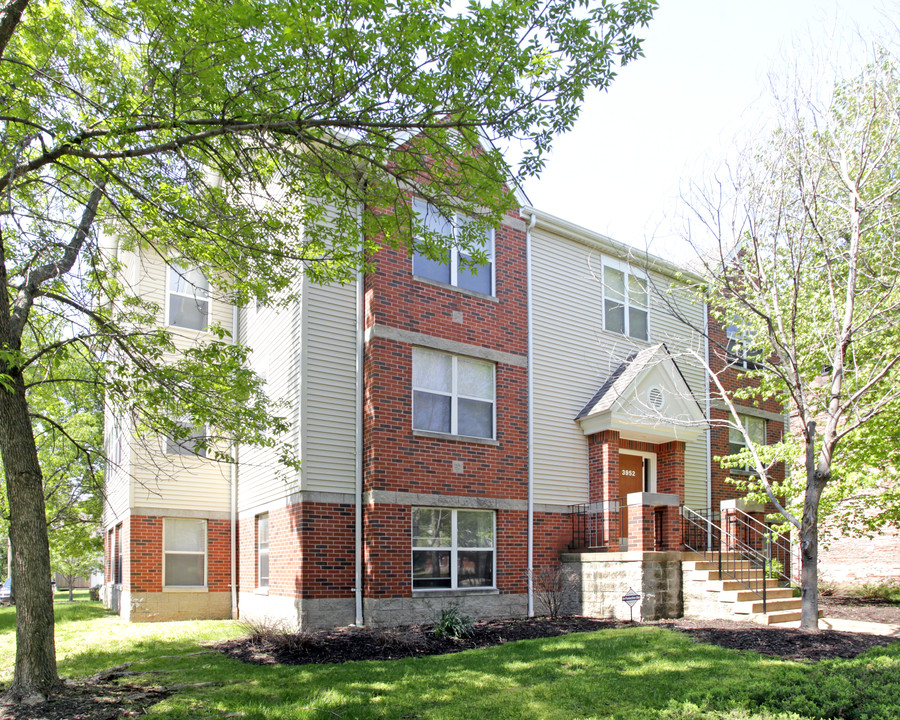 3952 Olive St in St. Louis, MO - Building Photo