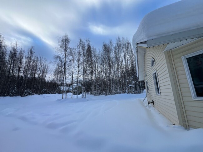 1315 Carat Loop in North Pole, AK - Building Photo - Building Photo