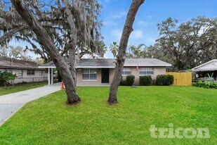 11116 Stafford Ln in Riverview, FL - Building Photo