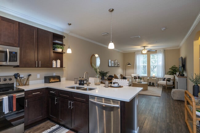 The Oasis at Highwoods Preserve in Tampa, FL - Building Photo - Building Photo