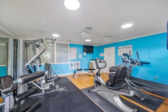 Costa del Sol Apartments, LLC in Seminole, FL - Foto de edificio - Building Photo