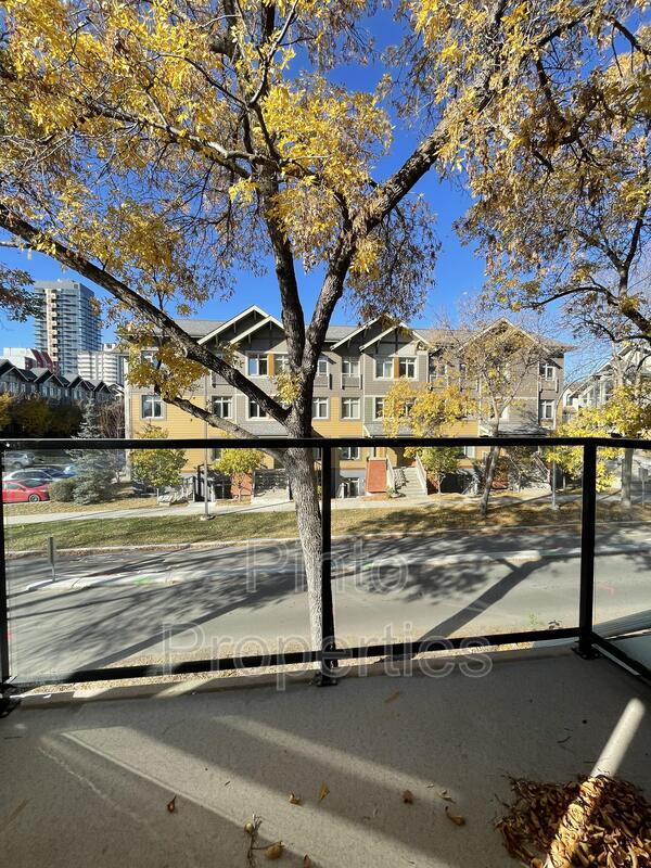 property at 8715-8110 110 St NW