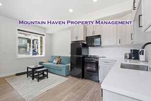 2115 Hummingbird Wy in Georgetown, CO - Building Photo