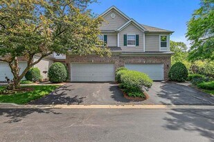 1005 Middleton Pl in Lisle, IL - Building Photo