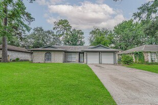 17311 Methil Dr in Spring, TX - Building Photo