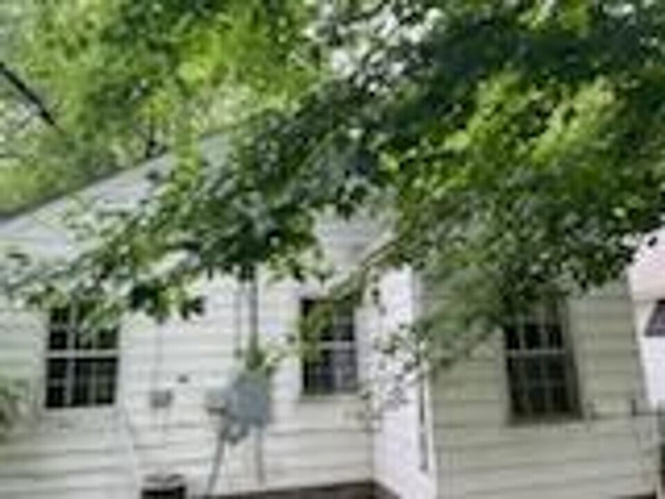 1115 Euclid Ave in Louisville, KY - Building Photo
