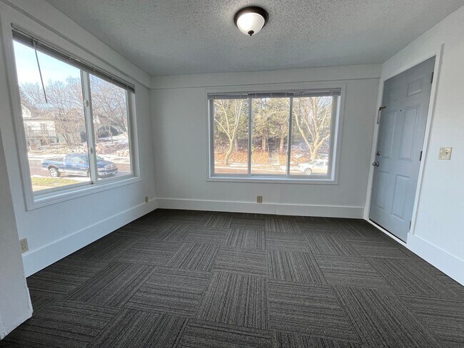 316 N Spring Ave in Sioux Falls, SD - Building Photo - Building Photo