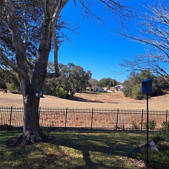 30602 Pga Dr in Sorrento, FL - Building Photo - Building Photo