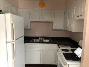 621 S Maple Ave in Oak Park, IL - Building Photo - Building Photo