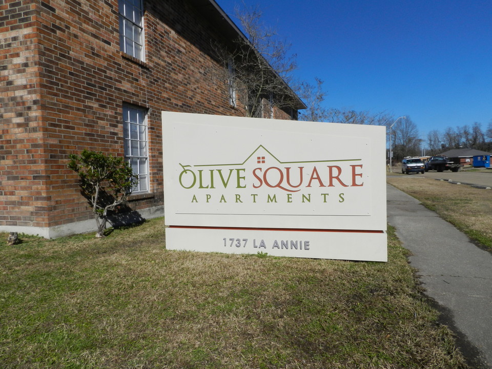 Olive Square Apartments Photo