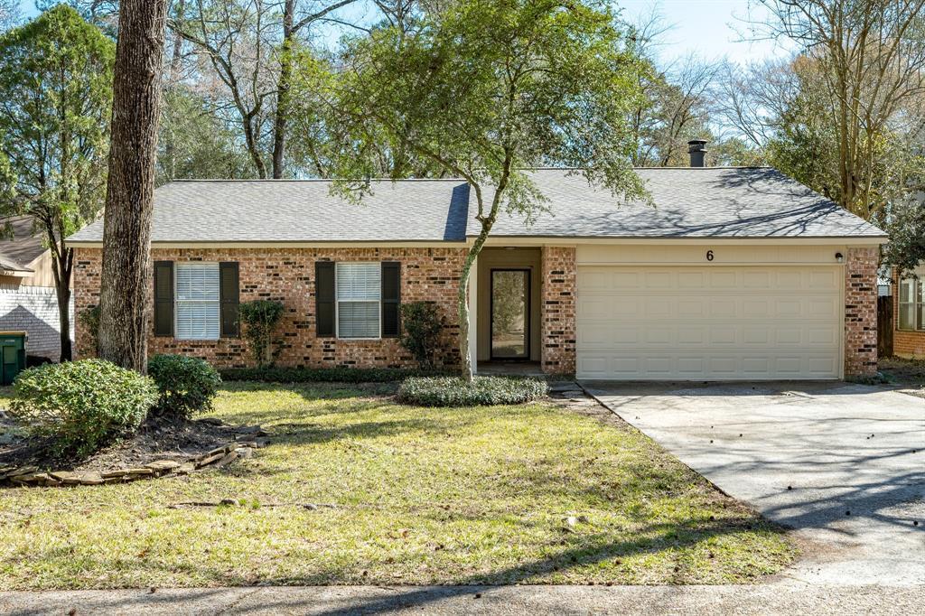 6 Basal Briar Ct in The Woodlands, TX - Building Photo