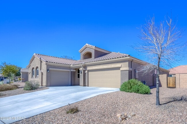 9116 W Silver Cholla Dr in Marana, AZ - Building Photo - Building Photo