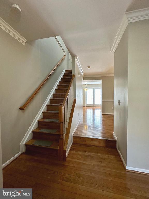 6510 Castine Ln in Springfield, VA - Building Photo - Building Photo