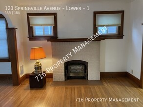 123 Springville Ave in Buffalo, NY - Building Photo - Building Photo