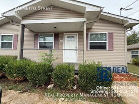 244 Palmetto St in Hot Springs, AR - Building Photo