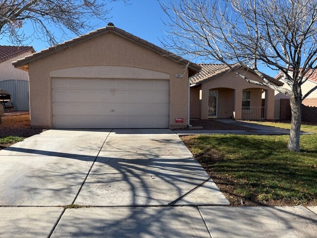 property at 1041 Amber Gate St