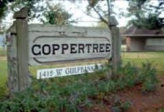 Coppertree Village in Houston, TX - Building Photo - Building Photo