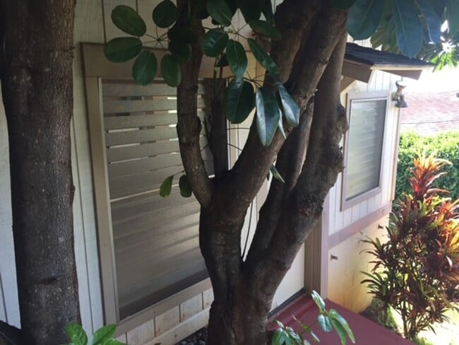property at 4137 Sierra Dr