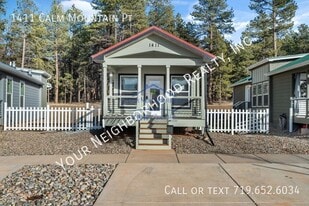 1411 Calm Mountain Pt in Woodland Park, CO - Building Photo
