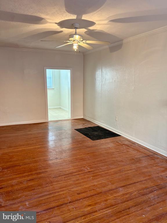 2016 S Mildred St in Philadelphia, PA - Building Photo - Building Photo