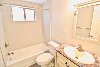 1431 N Pearl St in Denver, CO - Building Photo - Building Photo