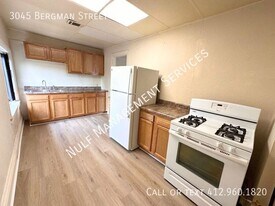 3045 Bergman St in Pittsburgh, PA - Building Photo