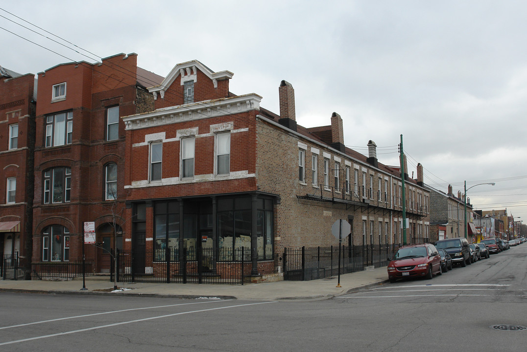 1759 W 17th St in Chicago, IL - Building Photo