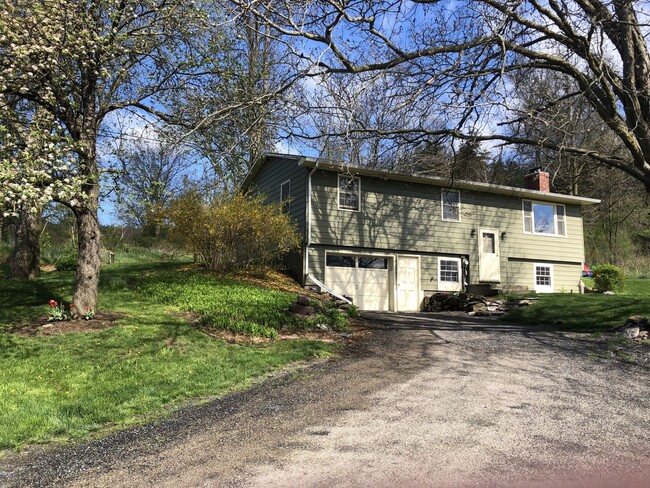property at 377 Satterly Rd