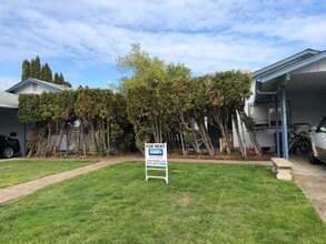 595 NW Oak Ave in Corvallis, OR - Building Photo - Building Photo
