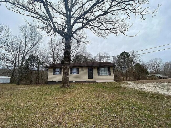 285 Branch Rd in Big Sandy, TN - Building Photo - Building Photo