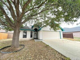 11 Gabriel St in Palmview, TX - Building Photo