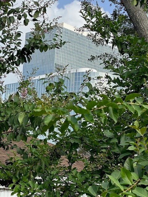 property at 3400 Timmons Ln