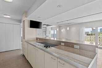 2401 Bayshore Blvd in Tampa, FL - Building Photo - Building Photo