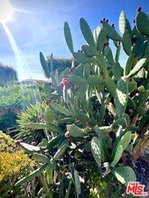 3017 Urban Ave in Santa Monica, CA - Foto de edificio - Building Photo