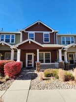 3441 Eagles Bay Point in Colorado Springs, CO - Building Photo