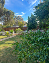 1012 Granito Dr in Ojai, CA - Building Photo - Building Photo